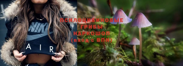 ешки Алзамай