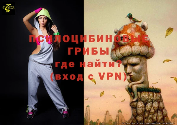ешки Алзамай