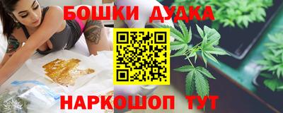 молекула духа Партизанск