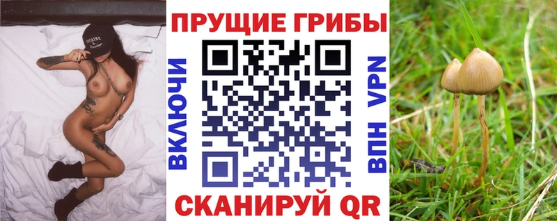 цены наркотик Шахты Псилоцибиновые грибы Psilocybe