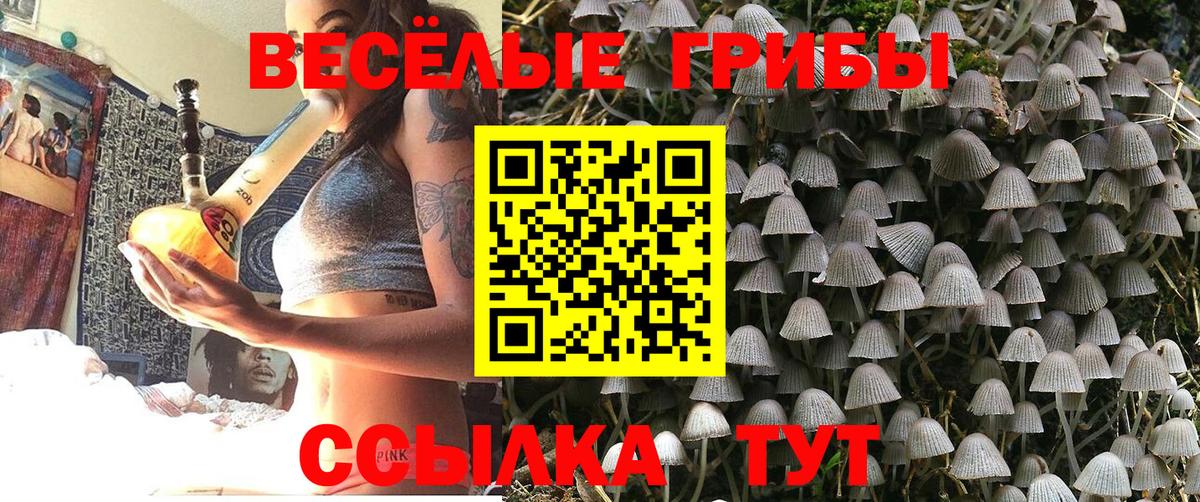 Псилоцибиновые грибы прущие грибы  Галлюциногенные грибы мицелий  Вход с VPN  Шахты 