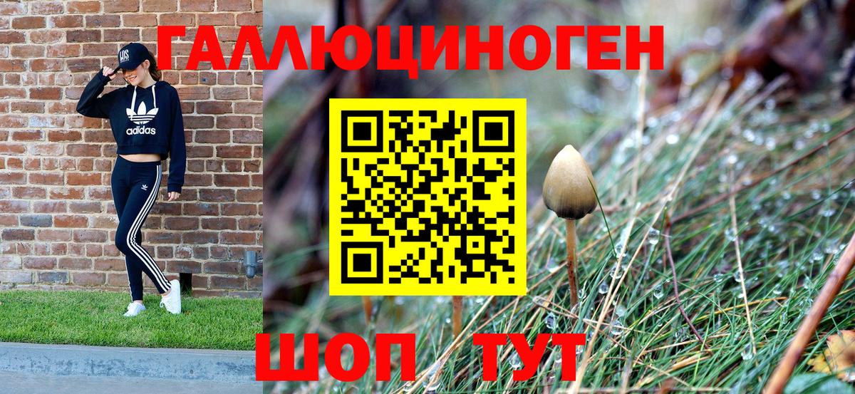 Канабис  Кокаин  ГАШ  Каннабис  Шахты  МДМА  Вход с VPN  Мефедрон кристаллы  Наркошоп 